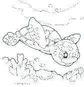 yukogreen015007.jpg